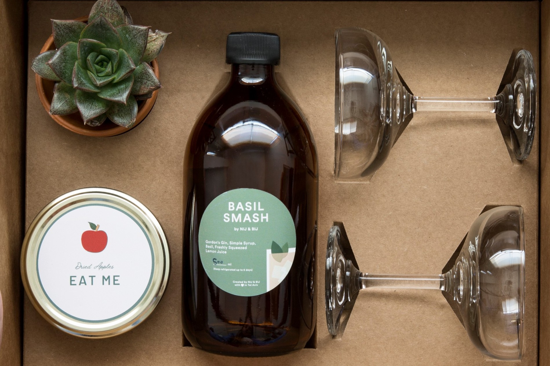The Botanical Mix gift set — fresh handcrafted cocktail, snack, decorative succulent and cocktail glasses